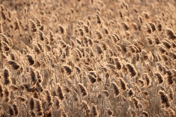 6BE0F984-1219-4385-B804-EDFAB3D3D0D3/L0/001