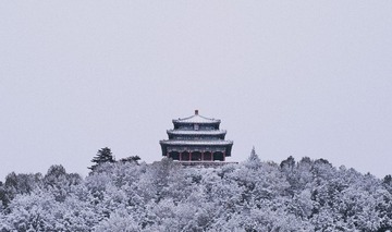 78266954-D716-430A-ABCB-023491D25FAD/L0/001
