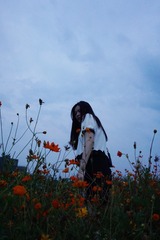 98392E7A-5CD9-4F93-B443-0E967A4F60F0/L0/001