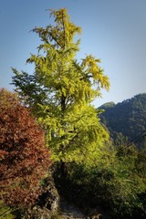 C7BFAA7A-63B7-4E5A-8055-1D8A30EF0F8A/L0/001
