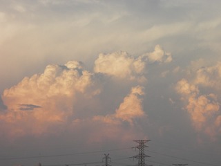 4551804