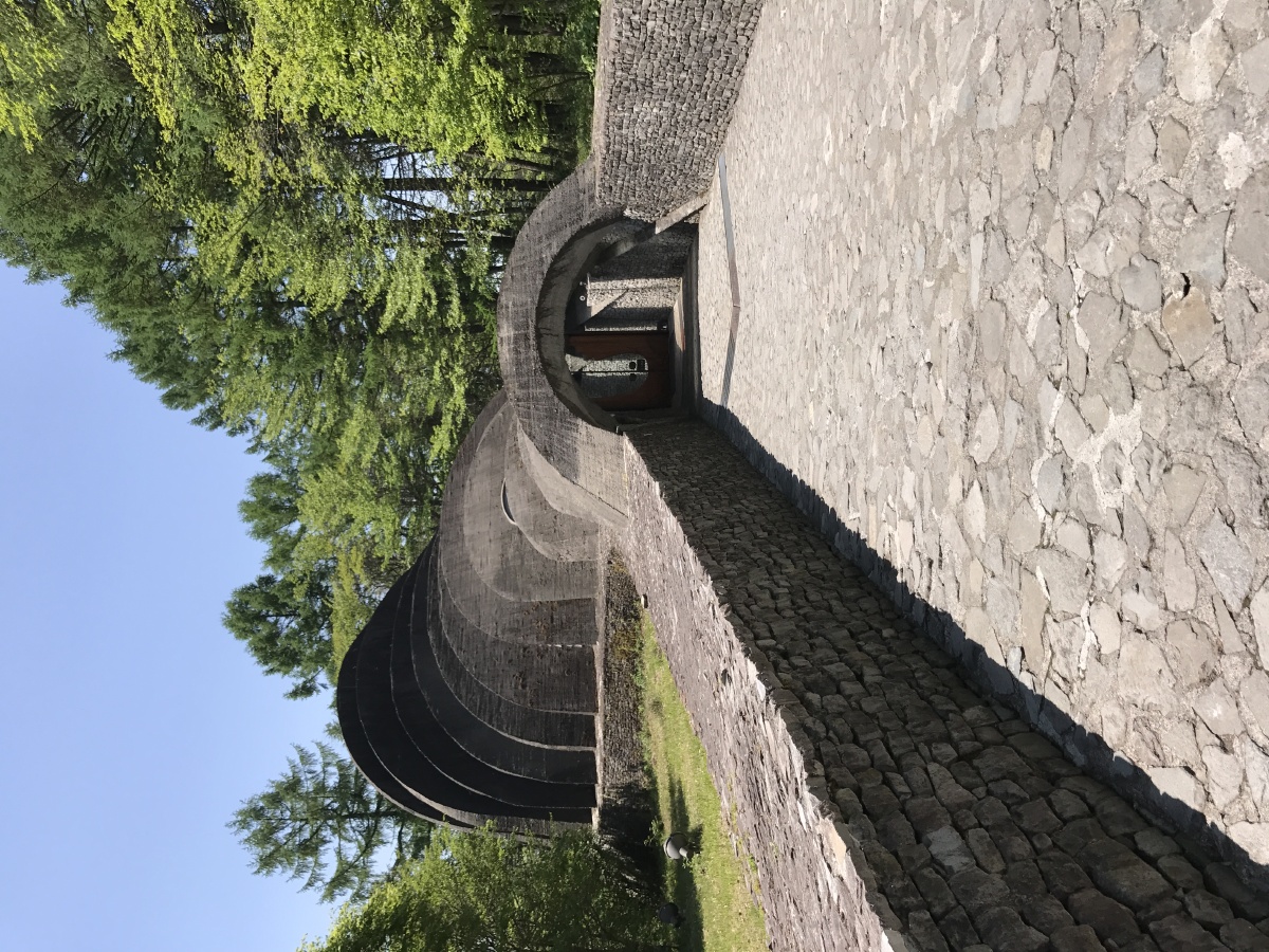 初夏的轻井泽,满眼新绿.