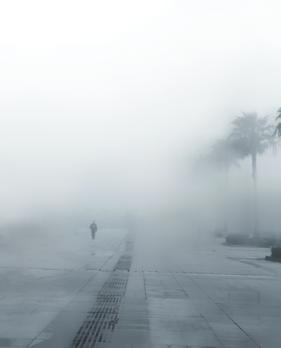 雾中即景(手机摄影)