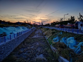 3617074