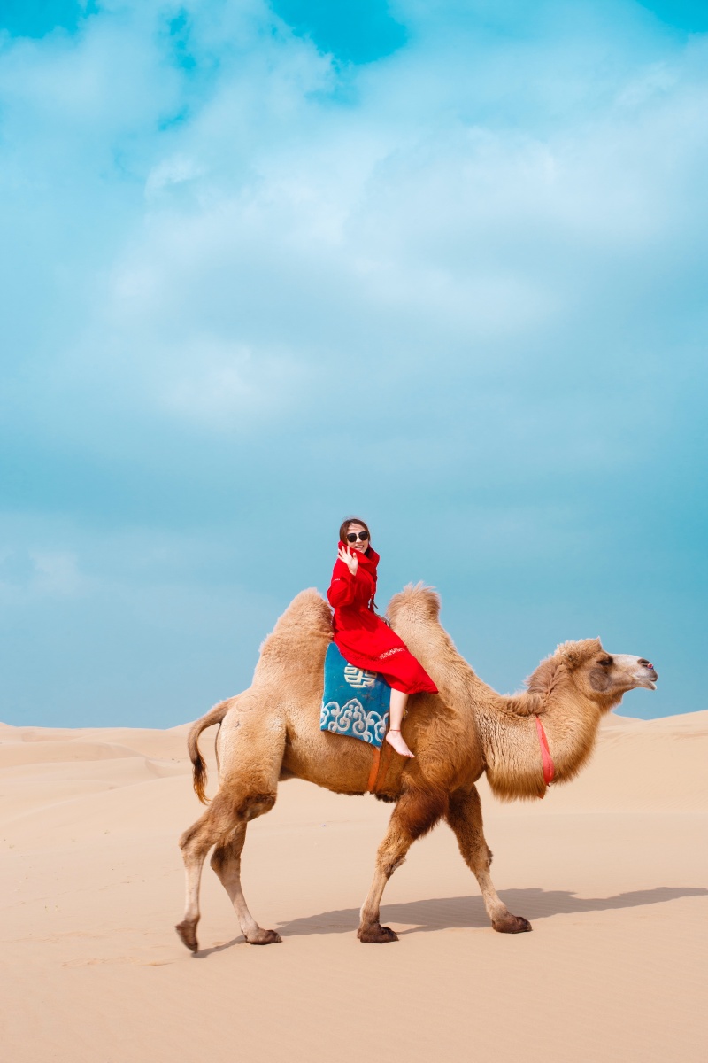 寻人启示偶遇这位美女让帮忙拍张照片微信没加上照片没给到她