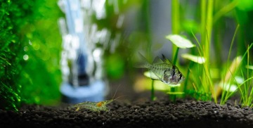 DSC_1421_缩小大小