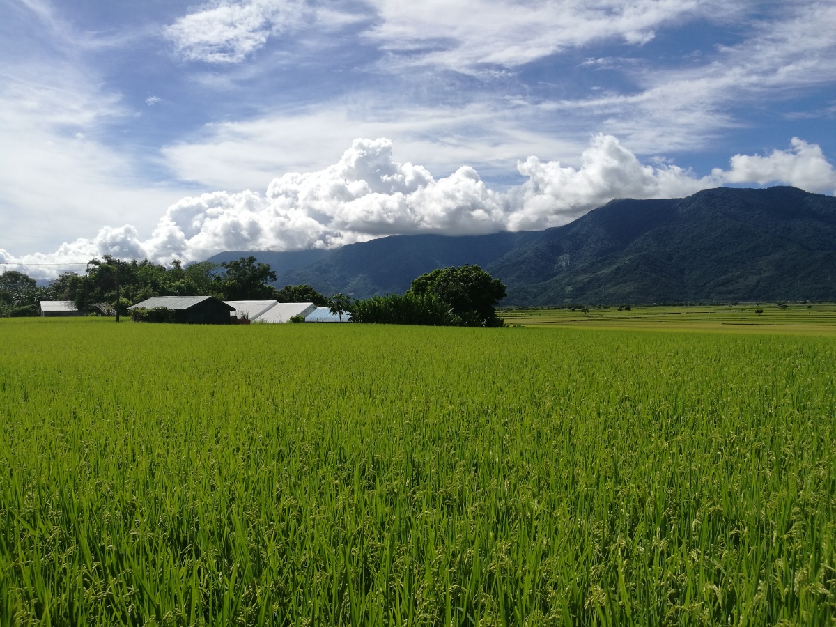 台湾 蓝天 白云 绿草