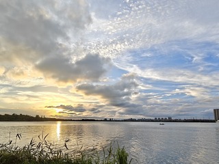 1000025384