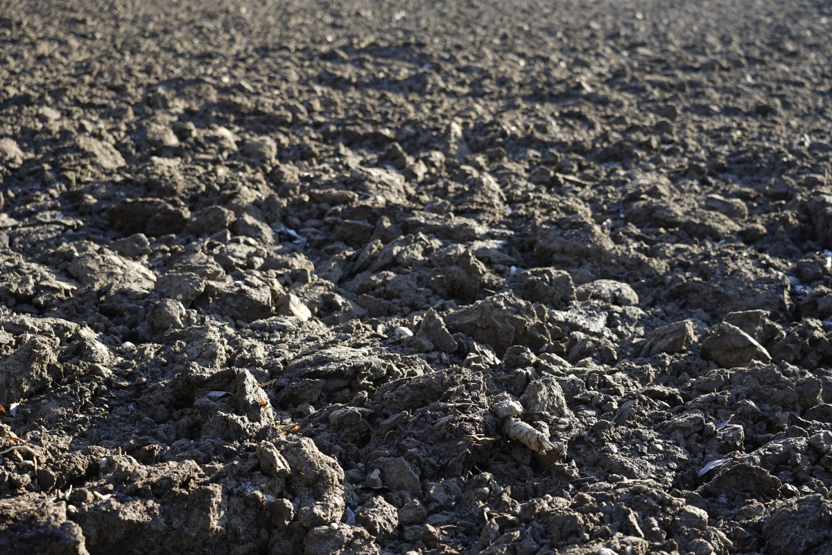 夜色下的哈工程