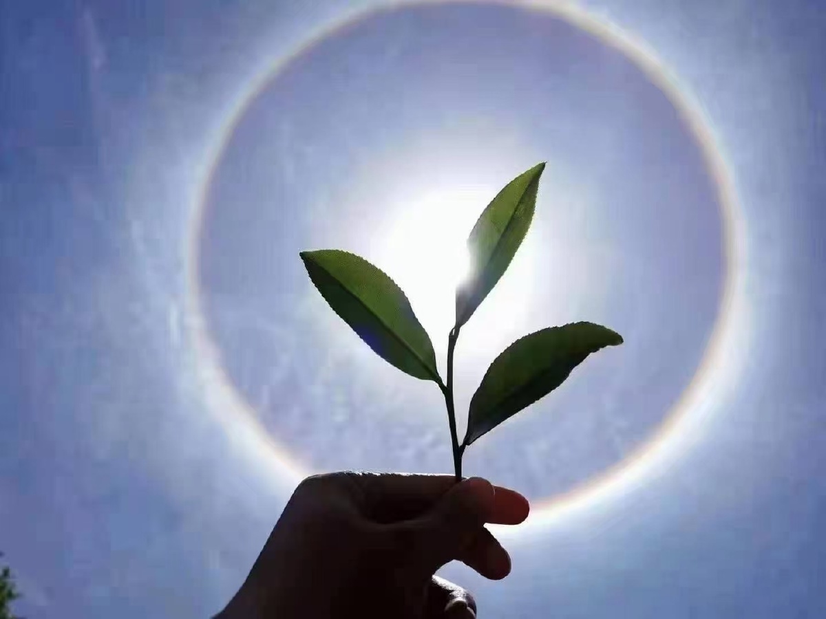 终于放五一咯你们那边的太阳也是这样圆圆的嘛