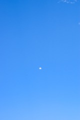 1000041546