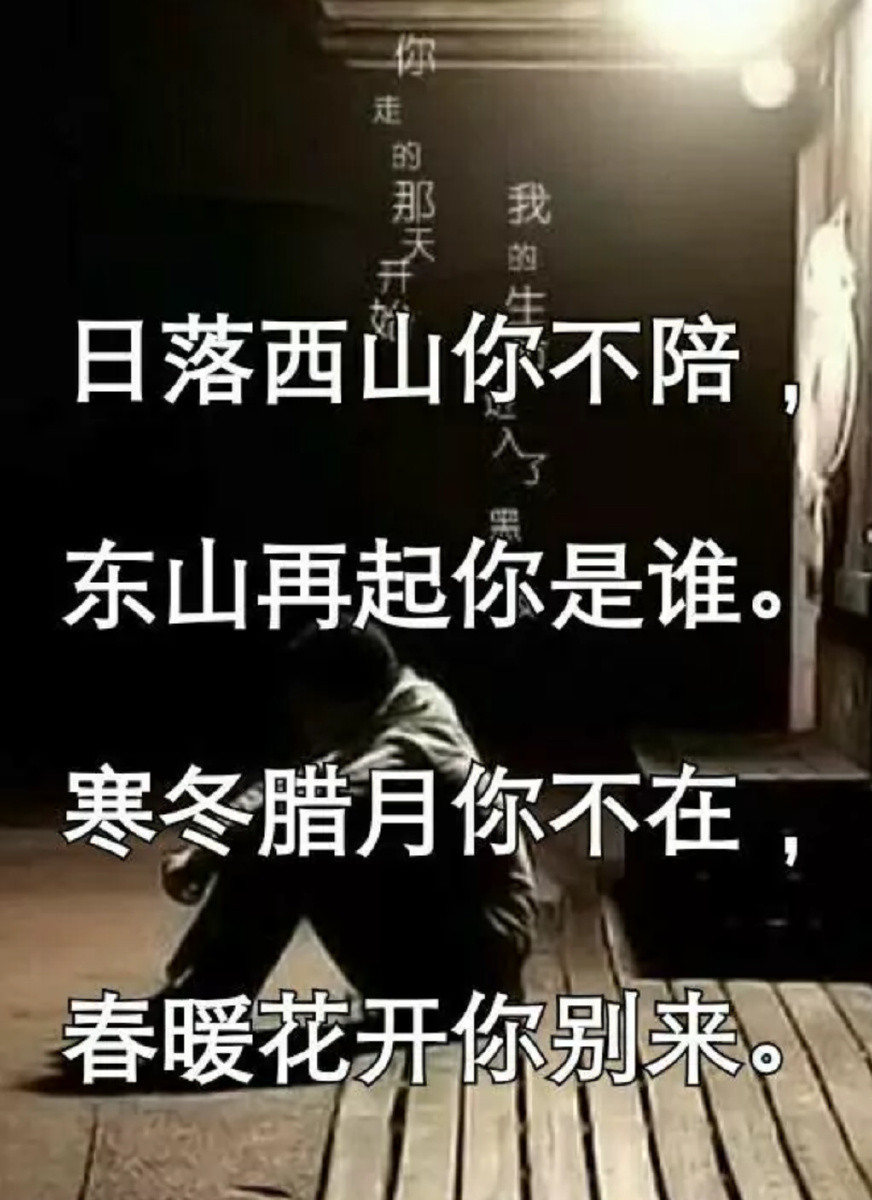 日落西山你不陪东山再起你是谁