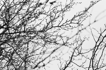 47F17252-6128-4A1C-BB58-7333267B90F9