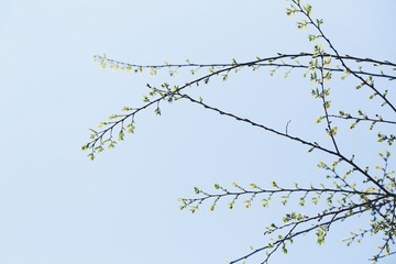 D80C7C1B-2862-4F0B-98C6-0F57DA51C2D4(0)