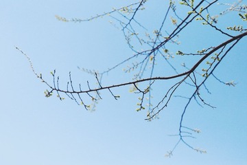 F9E27BB4-4755-4E87-B903-1557789F0BA7(0)