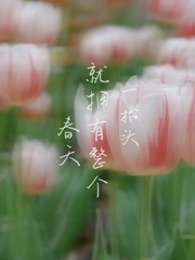 71716D41-6FF7-4A30-BD86-0021910F6077/L0/001