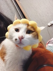 4569640