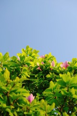 BA3F99F8-9972-41C1-9787-4F038B0F5B61/L0/001