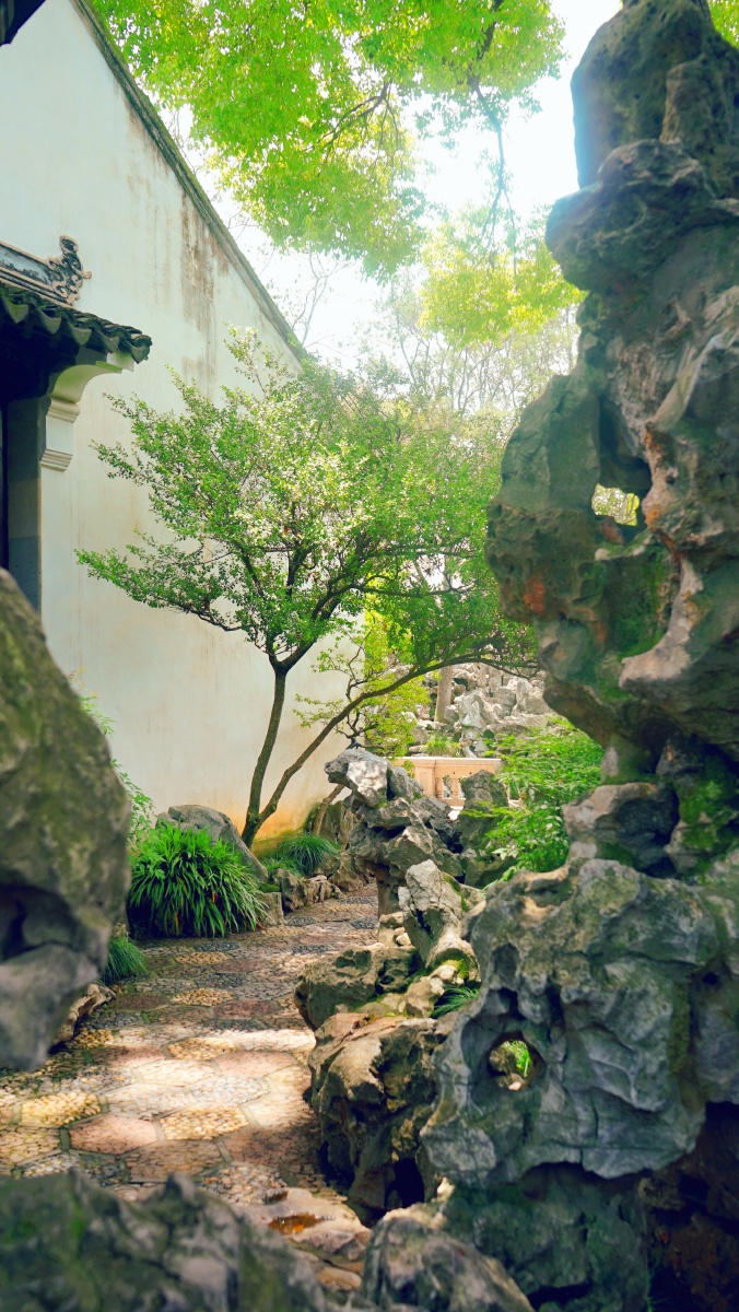 苏州四大园林狮子林,九狮峰苏州四大园林,狮子林花菜阿良关注