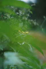 8975C17C-1035-4AB8-AB65-AA810C8B2C8E/L0/001