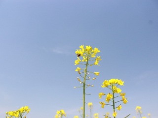 81207CAB-6D1B-4863-AC84-125F7C904D94/L0/001
