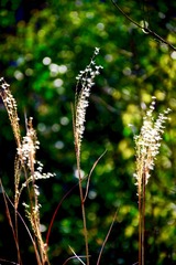 378E0806-2A76-4B9E-8F61-7436E0B17F59/L0/001
