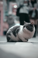 56282