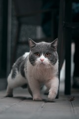 56280