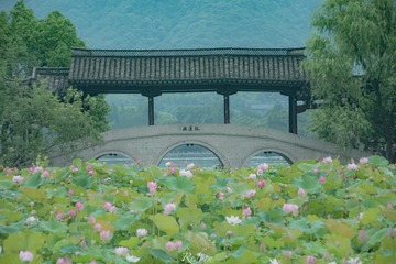 9062F5B9-876A-45EB-8B73-A46608D6C7B7/L0/001
