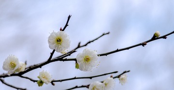 E905E028-1DB9-4E5E-B51D-FA7704EA3C5A/L0/001