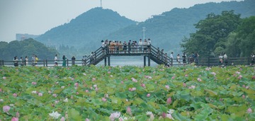 CF809C10-7548-4991-AF02-D1216DEA6D71/L0/001