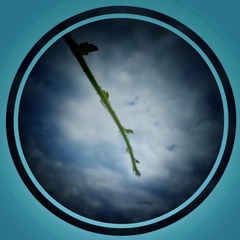 1025417