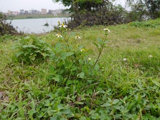 P1010320