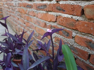 P1010190