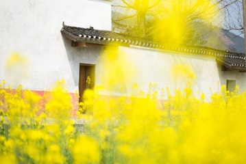 周家大院L1006839