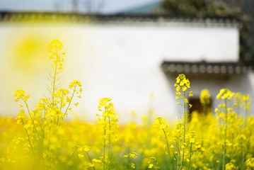 周家大院L1006836
