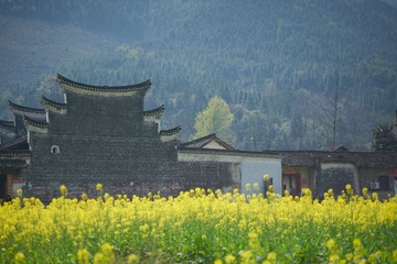 索尼90:2 周家大院（干岩头村）DSC00792
