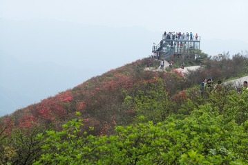 阳明山 徕卡 90 2.0L1009153