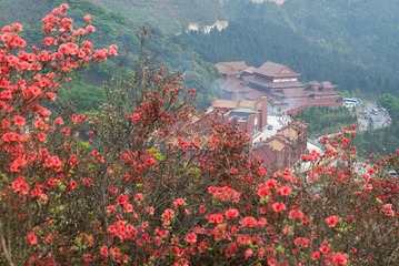 阳明山 徕卡 90 2.0L1009178