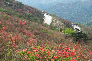 阳明山 徕卡 90 2.0L1009189