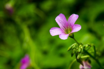 _DSC0104
