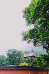 E028D781-3035-45D7-8625-A21E2693A3CA/L0/001