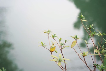692A02B6-7B40-487C-9983-22DB67F69CEF/L0/001