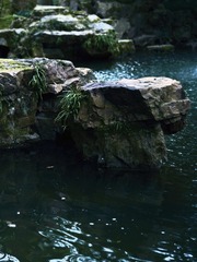 18CF4489-6012-4B22-88F6-CF2901304067/L0/001