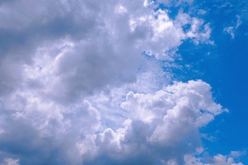 5AF73413-BD87-4AD0-B2D0-57D32A578C5B/L0/001