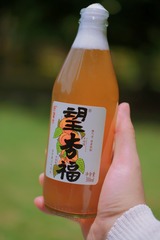 93C7EFCD-96DA-4D75-84BD-9020CABA407B/L0/001