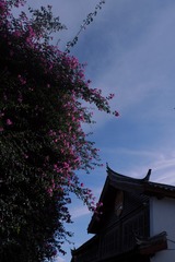 E7BC76DB-2F66-4709-9740-5F7E747F9D83/L0/001