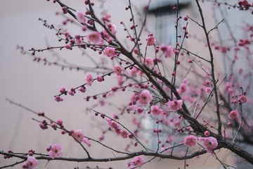 49780285-AB70-498B-B3B5-6392735C15B9/L0/001