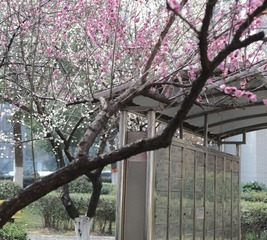 5DD4266F-B32B-4758-947B-D8BC43A79368/L0/001