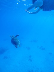 GOPR0183